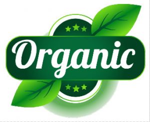 Organic SEO Services